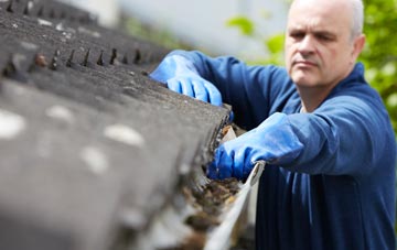 cleaning and inspecting Drinkstone Green roofs