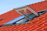 Drinkstone Green roof window
